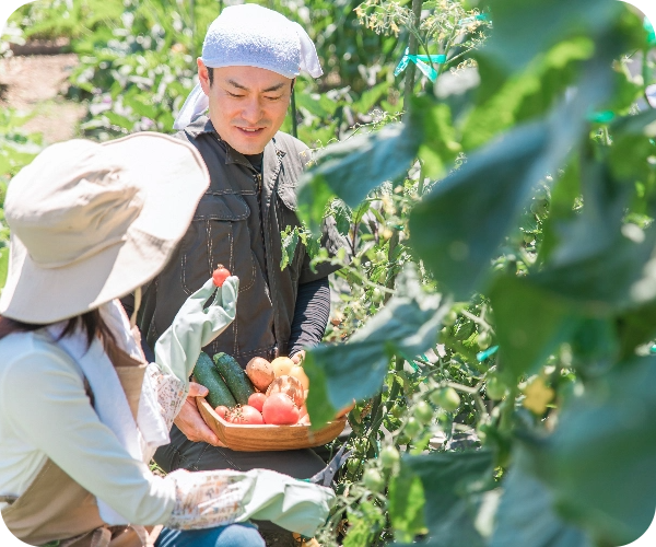 野菜の収穫をする農家の人々